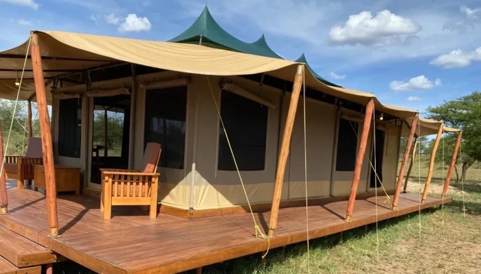 Into Wild Luxury Tented Serengeti