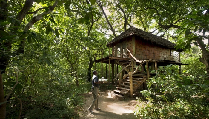 Lake Manyara Tree Lodge