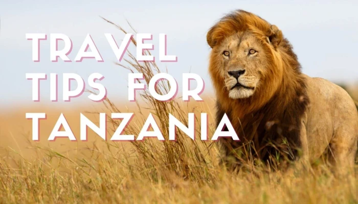 Travel tips to Tanzania