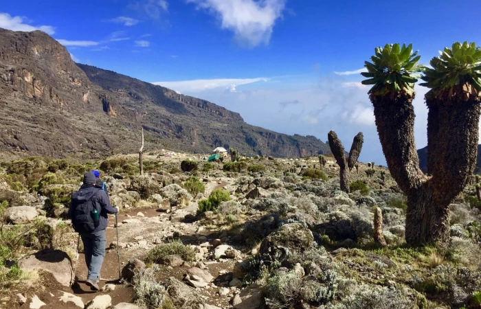 Kilimanjaro trek