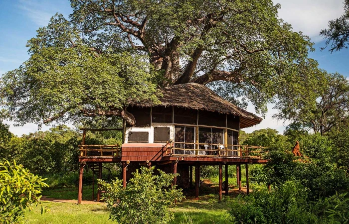 Tarangire Kuro Treetops Lodge