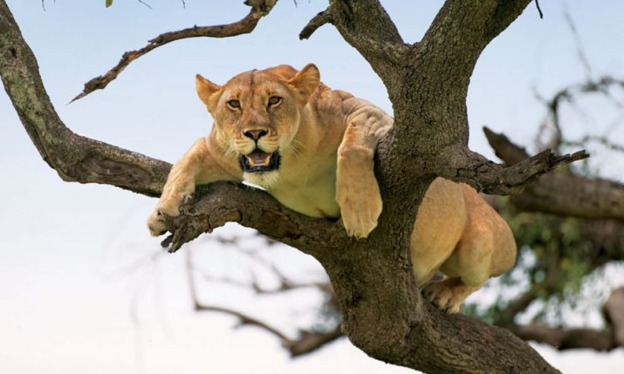 Lake Manyara National Park